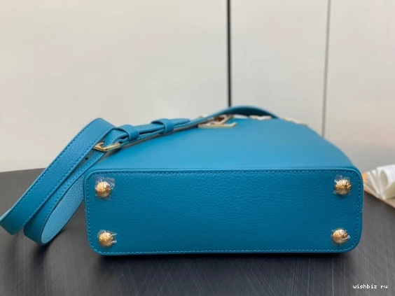 WIS VUITTON CAPUCINES MM LOUIS 0813